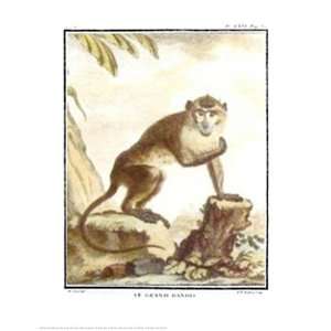 Mandrill Finest LAMINATED Print Georges Louis Leclerc, Comte de Buffon 