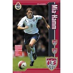  USA Mia Hamm Wallbanger