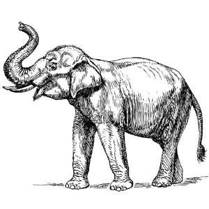   Round Badge Style Keyring Line Drawing Indian Elephant