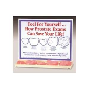 Feel For Yourself Prostate Exams Display 