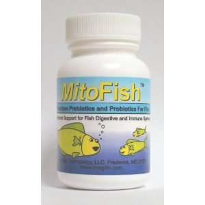   Prebiotics and Probiotics for Fish, 15 Capsules