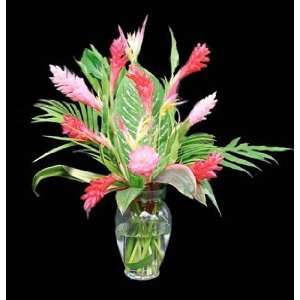 Ginger Splash   Fresh Cut Hawaiian Flowers  Grocery 