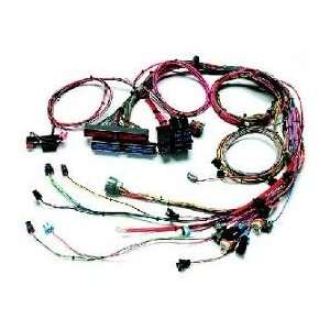  Painless Fuel Injection Wiring Harness for 1998   2002 