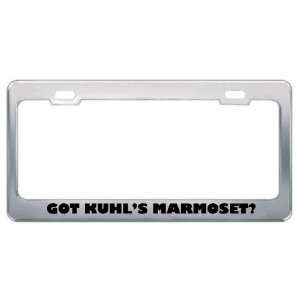 Got KuhlS Marmoset? Animals Pets Metal License Plate Frame Holder 