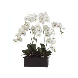   Potted Artificial White Silk Phalaenopsis Orchid Plant