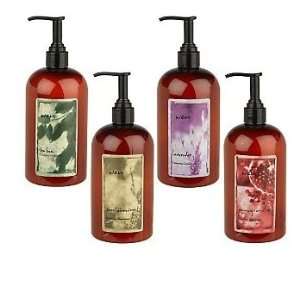WEN by Chaz Dean 4 piece Deluxe Cleansing Conditioner Set Includes Tea 