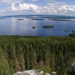  Koli, Finlands Landscape 12 x 12 Paper Arts, Crafts 