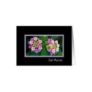  Purple Flowers Just Married Card Card Health & Personal 