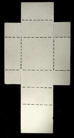 100 2.5x3.5FOLD UP BOXES White Ideal Specimen Storage  