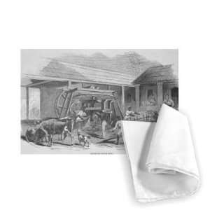  The Sugar Mill, c.1835 (litho) by Johann   Tea Towel 100 