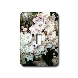 Flowers   Mountain Laurel   Light Switch Covers   single toggle switch