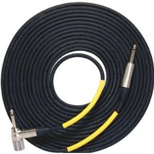   Taylor V Cable (500k 10 feet) (V Cable 500k 10) Musical Instruments