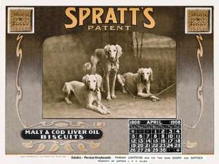 Saluki Named Dog Food Advert Calendar Print  