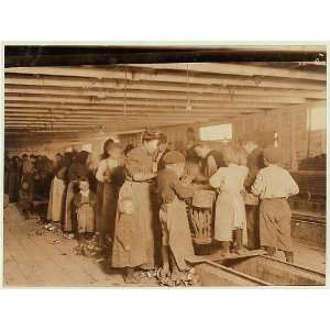  Photo Group of oyster shuckers working in canning factory 