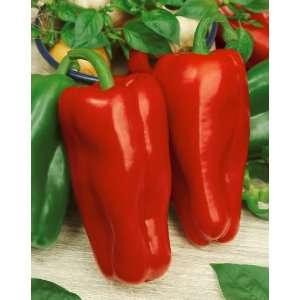 Pepper Seeds   Capsicum Annuum   0.2 Grams   Approx 30 Gardening Seeds 