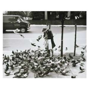  Old Woman Feeding Pigeons, c.1985 Giclee Poster Print by 