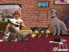 The Sims Pet Stories PC Games, 2007 014633153651  
