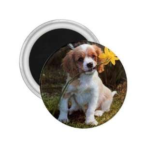    English Springer Spaniel Refrigerator Magnet