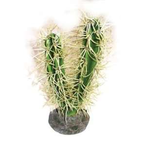  Desert Cactus 1   2 Spikes