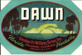Dawn Brand Florida Vegetables Crate Label Pahokee,Fl.  