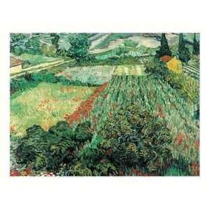  Field Of Poppies, St.Remy Poster Print